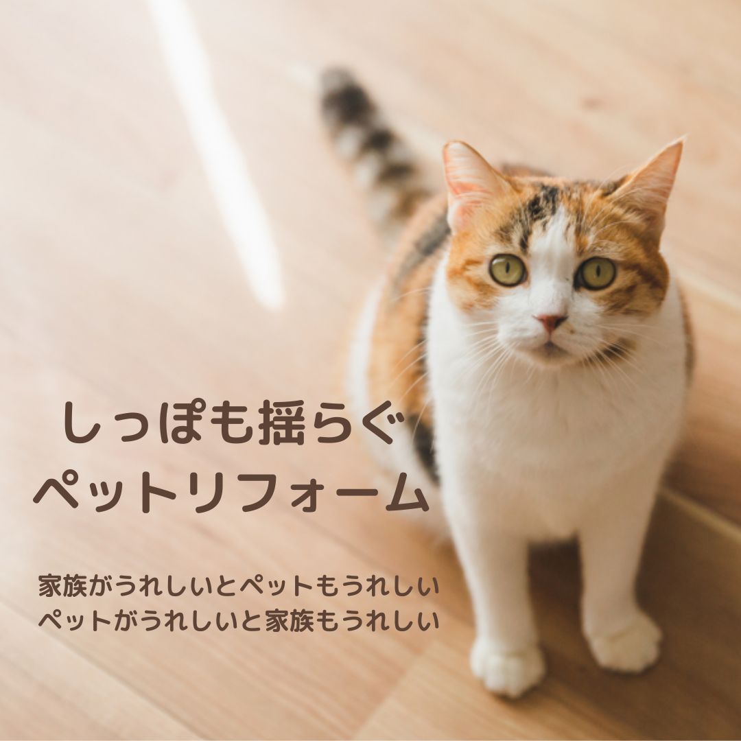 4. あなたのライフスタイルに合わせたカスタマイズ