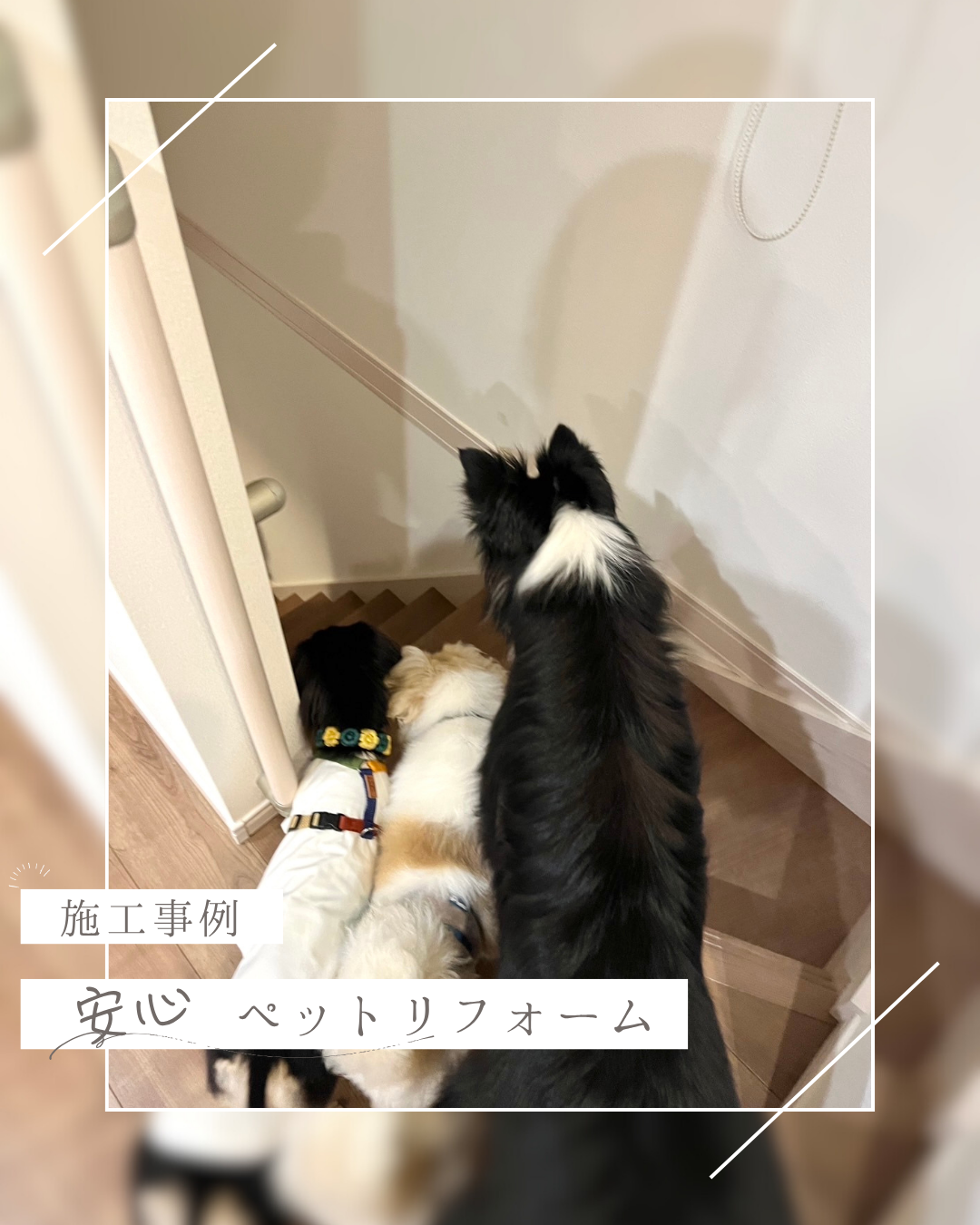家族とペットが共に快適に成長できる住まいを実現します！